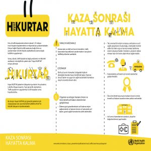 Kaza Sonrası Hayatta Kalma